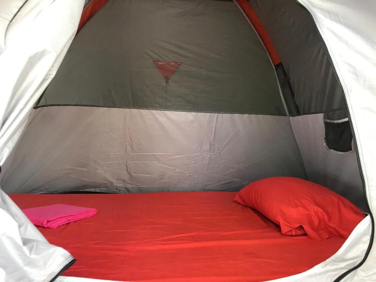 TENT 1