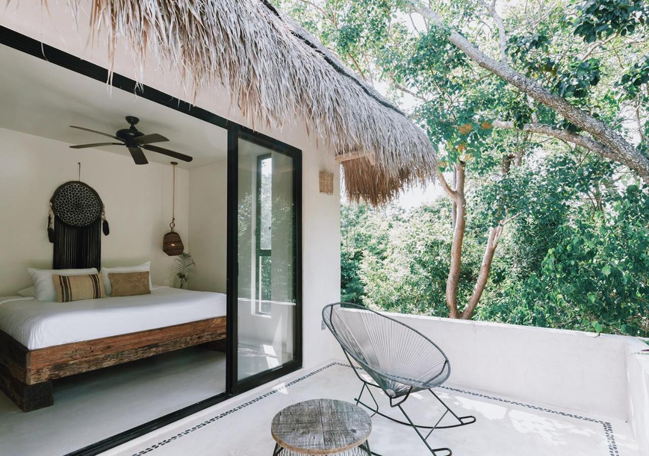 Chambre Tropicale avec Terrasse