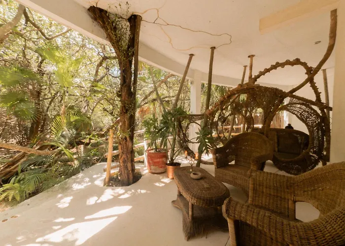 Hotel near College: Casa Ambar Hotel & Boutique - Party Side Tulum (Adults Only)